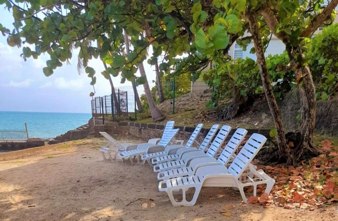 Ilet Bleu Studio Cosy Rdc Vue Mer Et Jardin - Acces Direct Plage Le Gosier  Eksteriør bilde