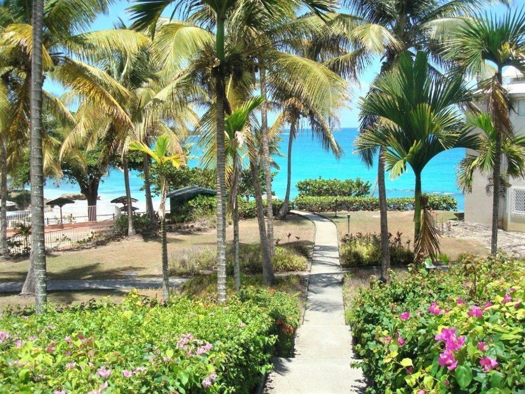 Ilet Bleu Studio Cosy Rdc Vue Mer Et Jardin - Acces Direct Plage Le Gosier  Eksteriør bilde